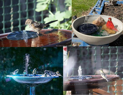 Vireo Solar Powered Water Fountain